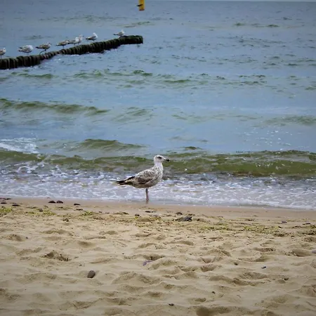 Prima Playa Miedzyzdroje