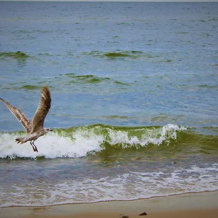 Lägenhet Prima Playa