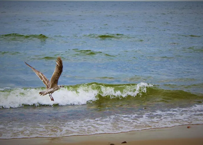 아파트 Prima Playa