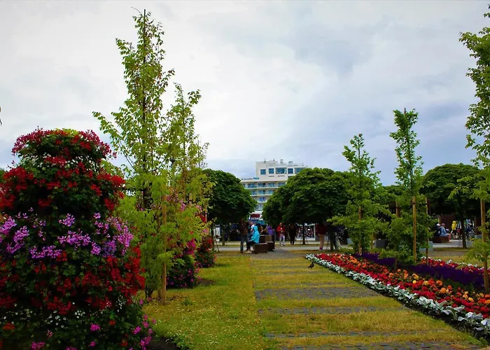 Prima Playa 아파트 *